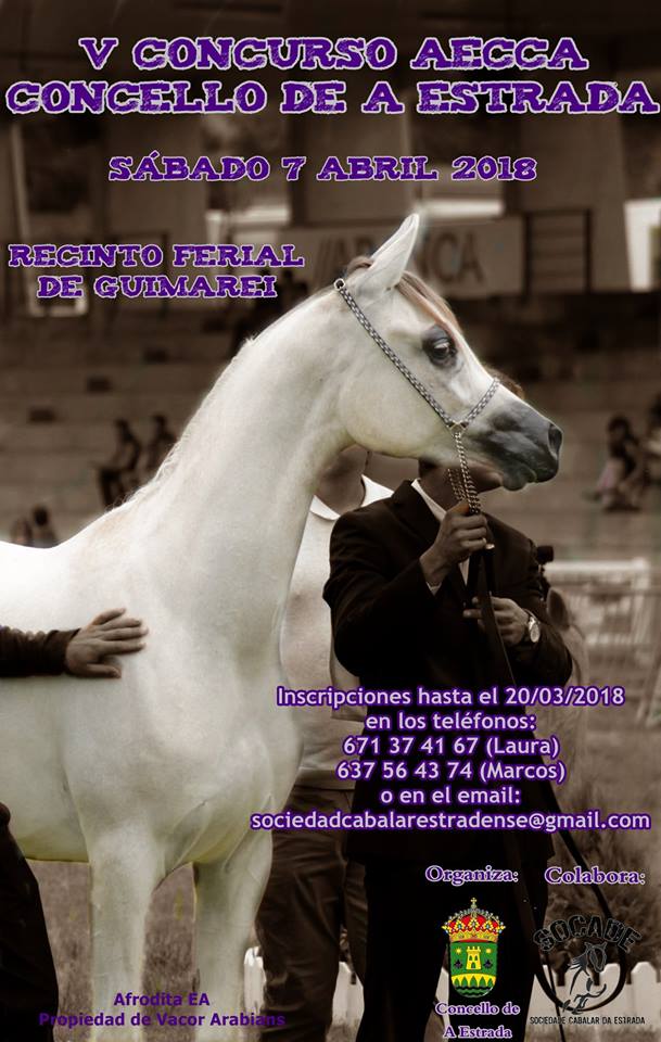 7-04-2018 HIPICA.jpg